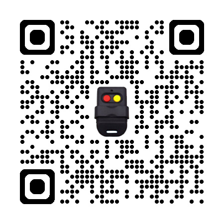 DIP remote control